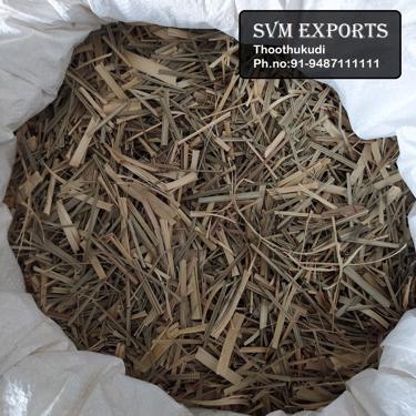 Public product photo - SVM EXPORTS Dried lemon grass is simply the moisture less form of naturally grown lemon grass with zero fertilizers. These clump-free and easily rehydrated products act as a unique flavour enhancer and seasoning that unleash the dried-out lemongrass aroma with zero compromises in the flavour profile. 
•	Our 100% natural dried lemon grass holds an exclusive spot, notably in Ayurveda and herbal medicines, for retaining